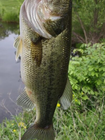 Fox Ridge Park - Mokena, IL