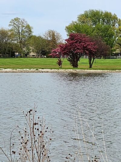 Hecht Park - Mokena, IL