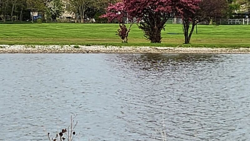 Hecht Park - Mokena, IL