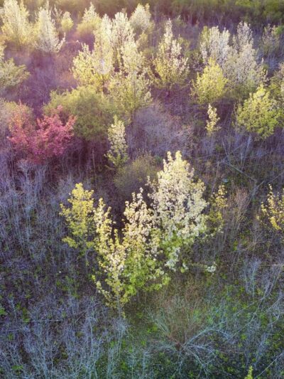 Hecht Park - Mokena, IL