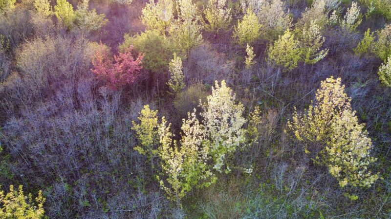 Hecht Park - Mokena, IL