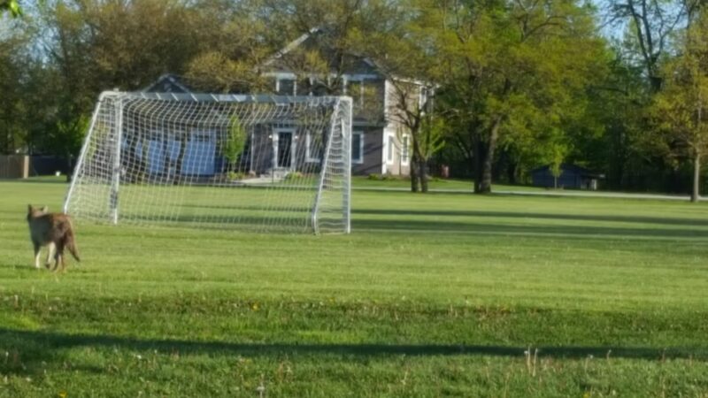 Willowview Park - Mokena, IL