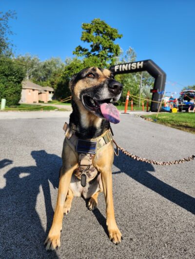 Willowview Park - Mokena, IL