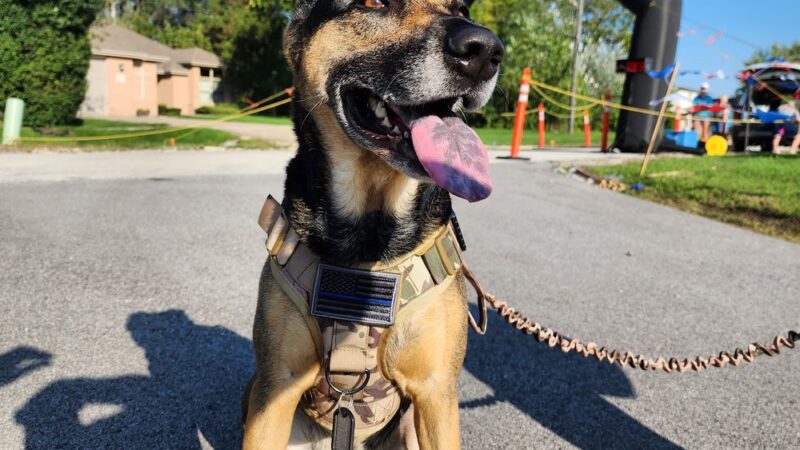 Willowview Park - Mokena, IL