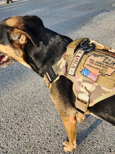 Willowview Park - Mokena, IL