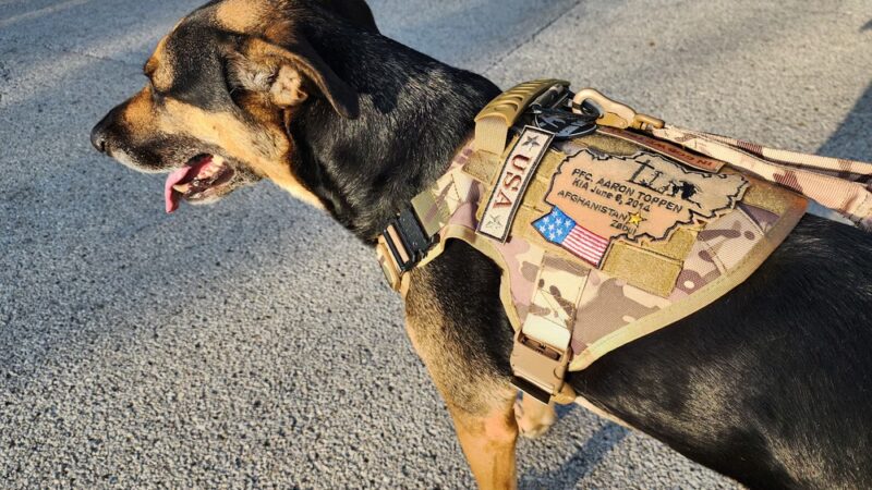 Willowview Park - Mokena, IL