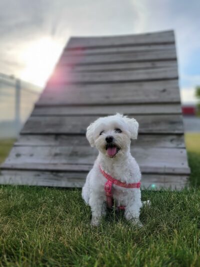 Yunker Park (Membership required) - Mokena, IL