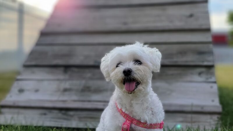 Yunker Park (Membership required) - Mokena, IL