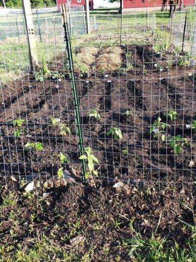 Yunker Park (Membership required) - Mokena, IL