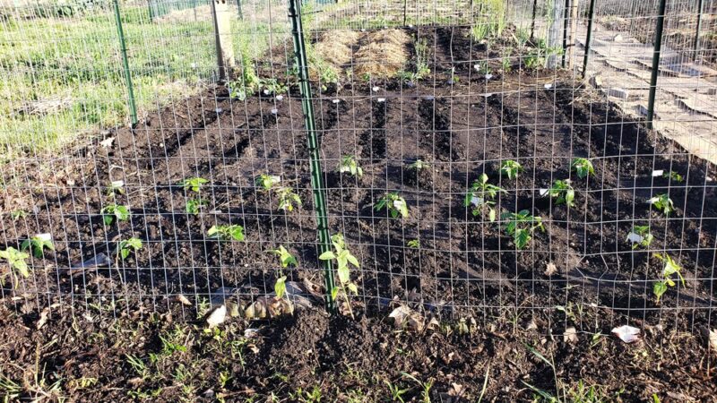 Yunker Park (Membership required) - Mokena, IL