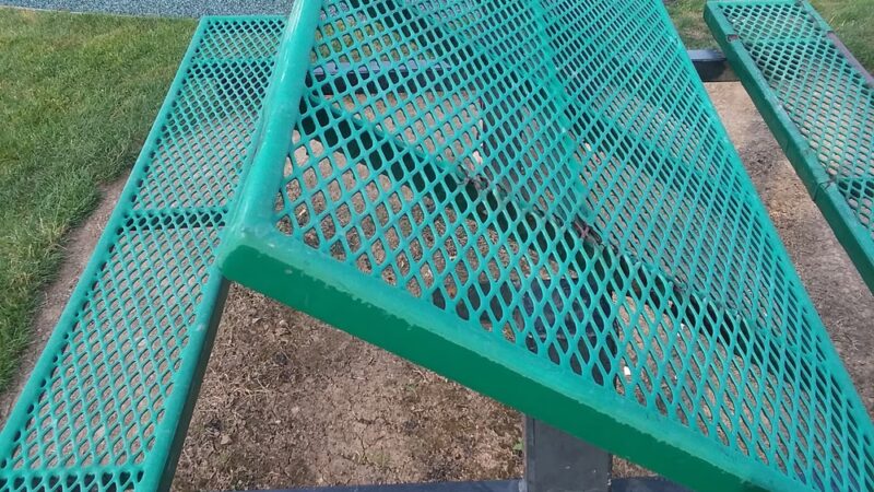 Big Meadow Park - Molalla, OR