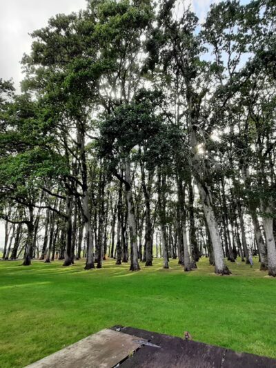 Clark Park - Molalla, OR