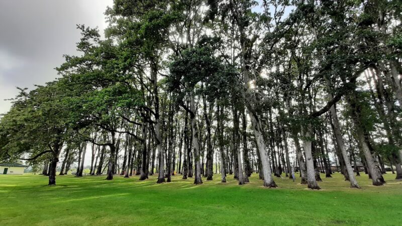 Clark Park - Molalla, OR