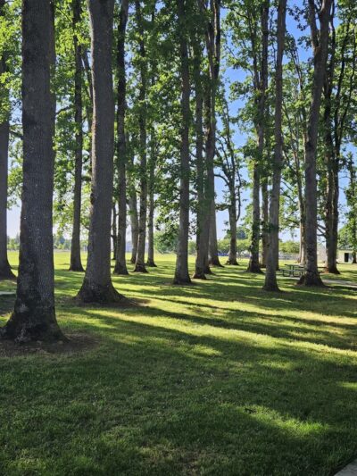 Clark Park - Molalla, OR