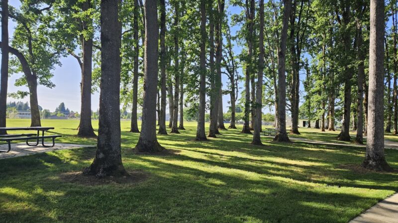 Clark Park - Molalla, OR