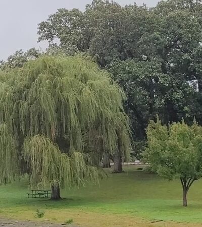 Island Park - Momence, IL