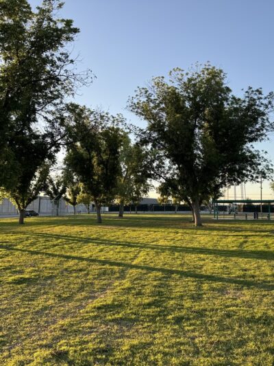 Pearson Park - Monahans, TX