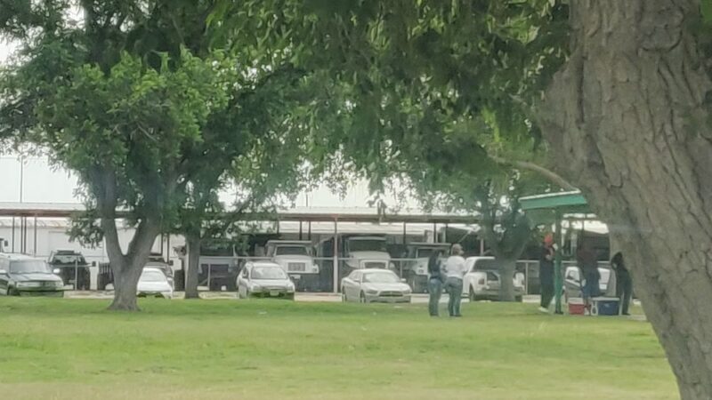 Pearson Park - Monahans, TX