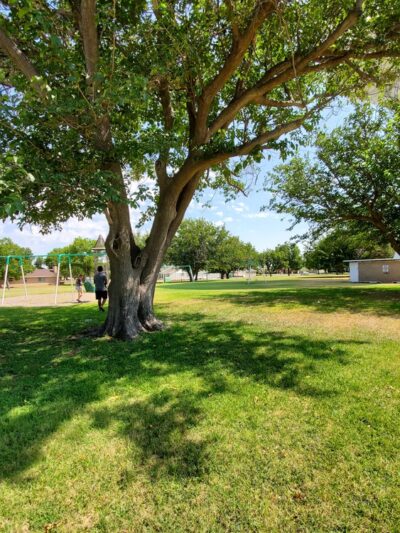 Rudy Park - Monahans, TX