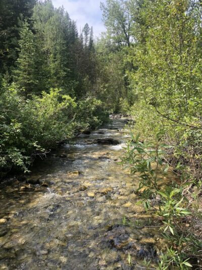 North Pilgrim Trailhead - Monarch, MT