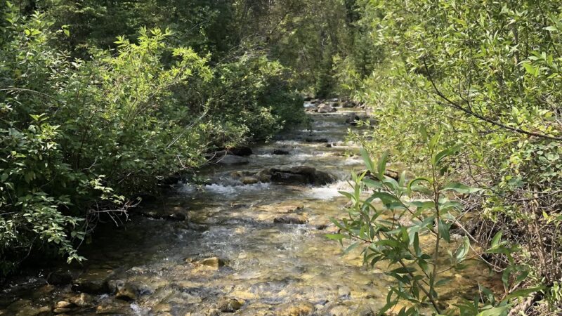 North Pilgrim Trailhead - Monarch, MT
