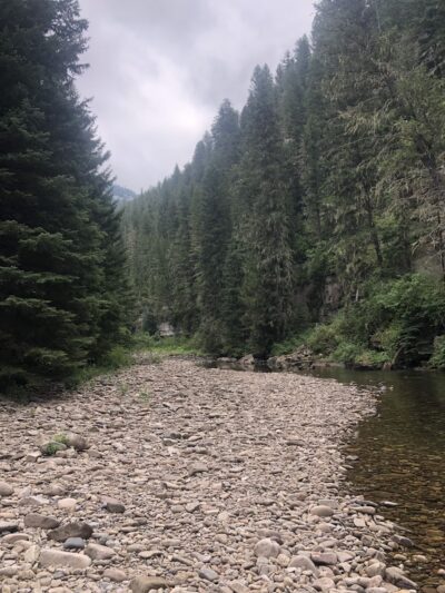 North Pilgrim Trailhead - Monarch, MT
