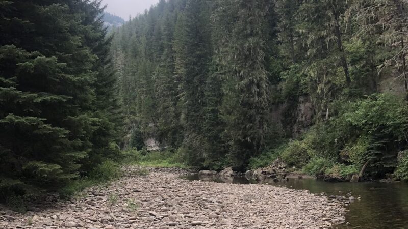 North Pilgrim Trailhead - Monarch, MT