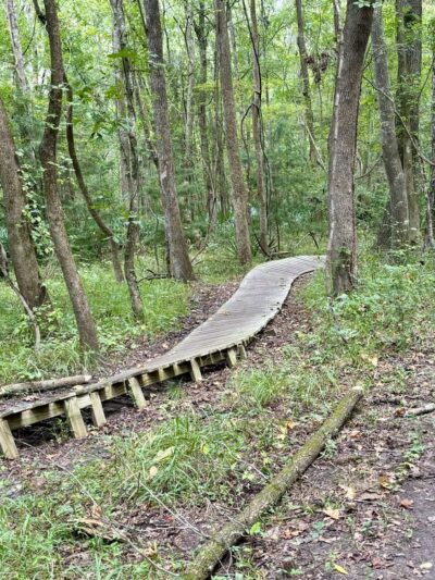 Biggin Creek MTB Trail - Moncks Corner, SC