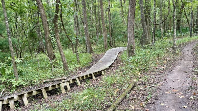 Biggin Creek MTB Trail - Moncks Corner, SC