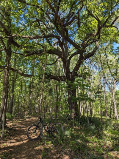 Biggin Creek MTB Trail - Moncks Corner, SC