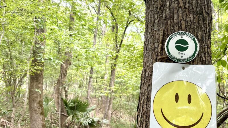 Biggin Creek MTB Trail - Moncks Corner, SC