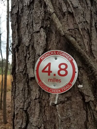 Biggin Creek MTB Trail - Moncks Corner, SC