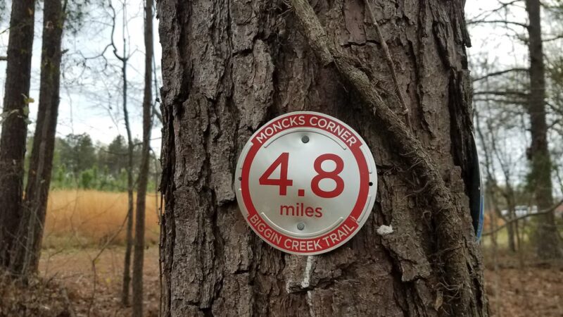 Biggin Creek MTB Trail - Moncks Corner, SC