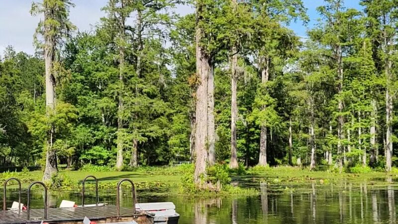 Cypress Gardens - Moncks Corner, SC