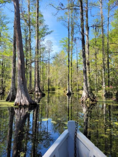 Cypress Gardens - Moncks Corner, SC