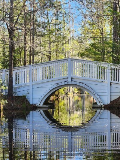 Cypress Gardens - Moncks Corner, SC