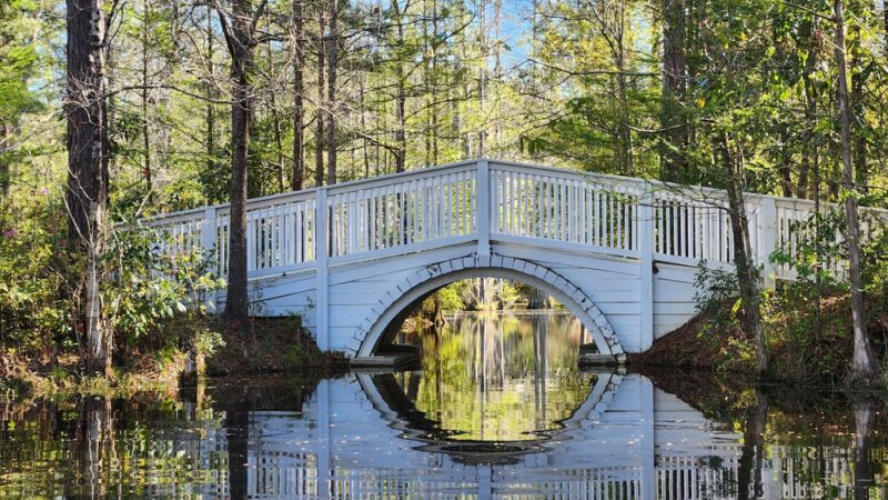 Cypress Gardens - Moncks Corner, SC