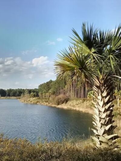 Lakes of Cane Bay - Moncks Corner, SC