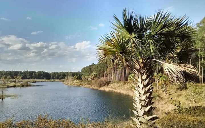 Lakes of Cane Bay - Moncks Corner, SC
