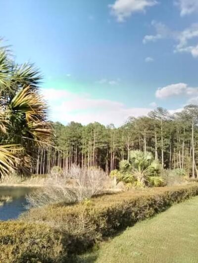 Lakes of Cane Bay - Moncks Corner, SC