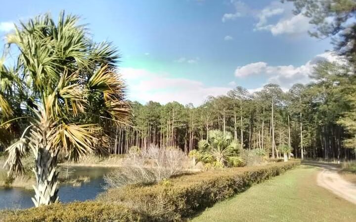 Lakes of Cane Bay - Moncks Corner, SC
