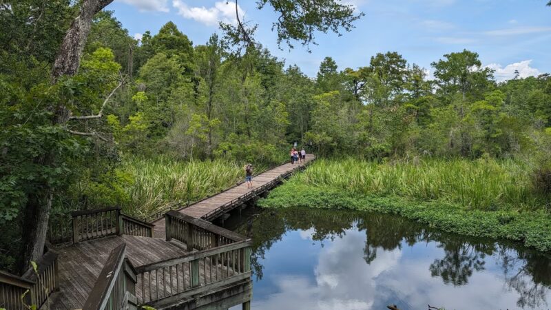 Old Santee Canal Park - Moncks Corner, SC