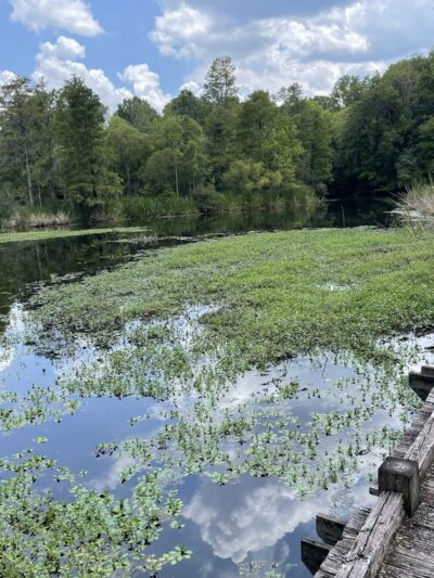 Old Santee Canal Park - Moncks Corner, SC