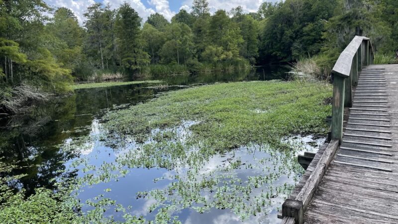 Old Santee Canal Park - Moncks Corner, SC