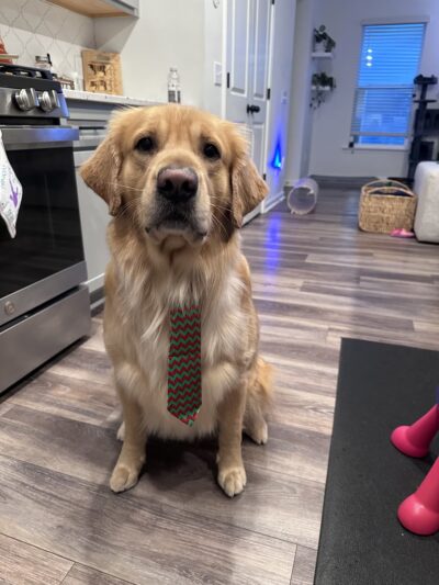 Woof Gang Bakery & Grooming Moncks Corner - Moncks Corner, SC