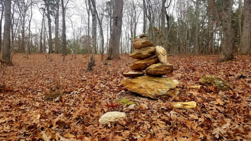 Rock Ridge Park - Moncure, NC