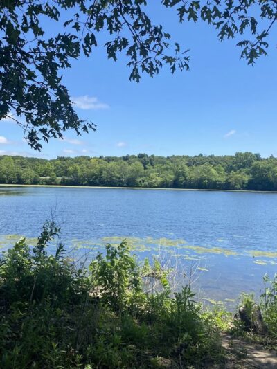 Monee Reservoir - Monee, IL