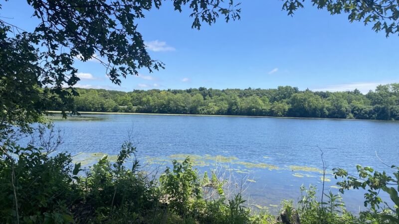 Monee Reservoir - Monee, IL