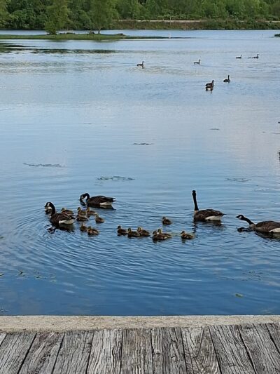 Monee Reservoir Visitor Center - Monee, IL
