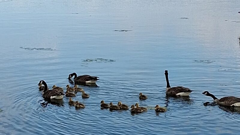 Monee Reservoir Visitor Center - Monee, IL
